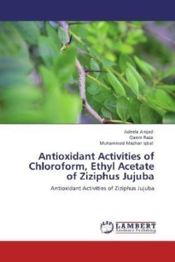 Antioxidant Activities of Chloroform, Ethyl Acetate of Ziziphus Jujuba