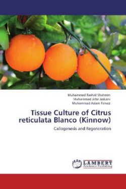 Tissue Culture of Citrus Reticulata Blanco (Kinnow)