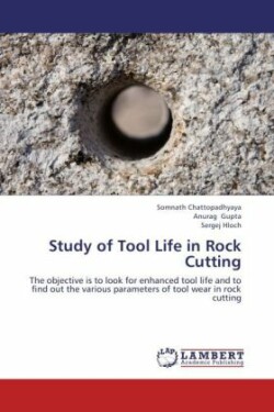 Study of Tool Life in Rock Cutting