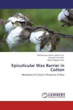 Epicuticular Wax Barrier in Cotton