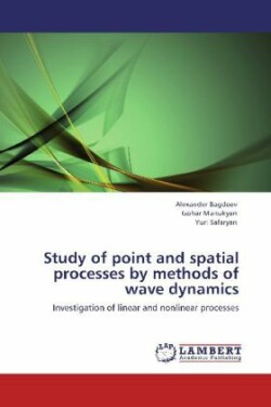 Study of Point and Spatial Processes by Methods of Wave Dynamics