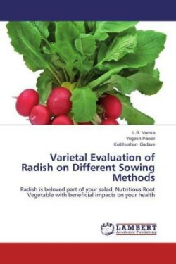 Varietal Evaluation of Radish on Different Sowing Methods