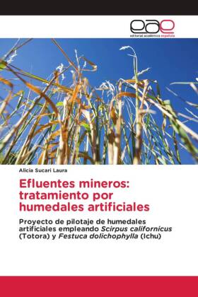 Efluentes mineros: tratamiento por humedales artificiales