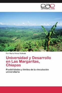 Universidad y Desarrollo En Las Margaritas, Chiapas