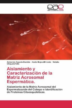 Aislamiento y Caracterizacion de La Matriz Acrosomal Espermatica.
