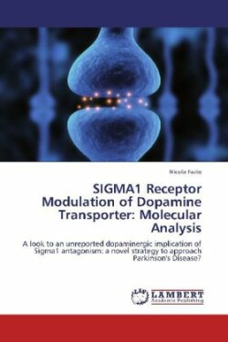 SIGMA1 Receptor Modulation of Dopamine Transporter