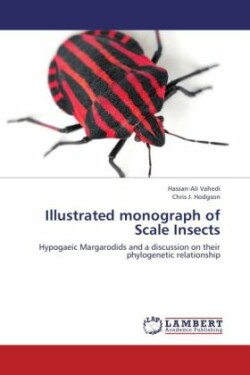 Illustrated Monograph of Scale Insects