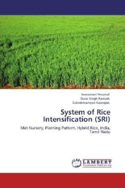 System of Rice Intensification (SRI)