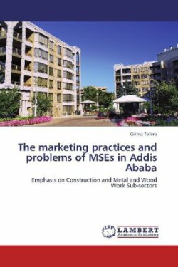 marketing practices and problems of MSEs in Addis Ababa