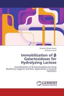 Immobilization of β Galactosidases for Hydrolyzing Lactose