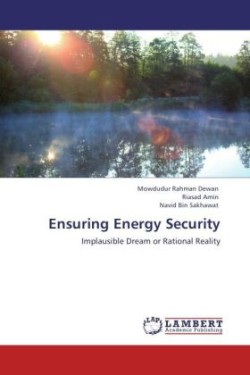 Ensuring Energy Security