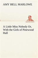 Little Miss Nobody Or, With the Girls of Pinewood Hall
