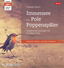 Immensee und Pole Poppenspäler, 1 Audio-CD, 1 MP3