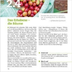 Dankbar leben