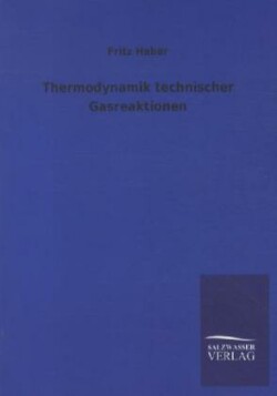 Thermodynamik technischer Gasreaktionen