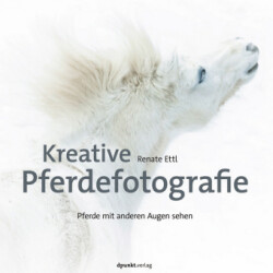 Kreative Pferdefotografie