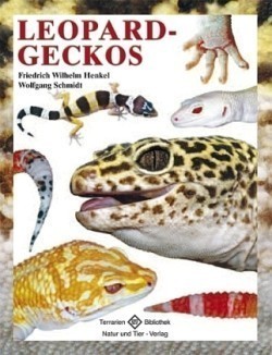 Leopardgeckos