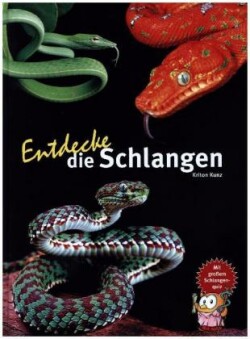 Entdecke die Schlangen