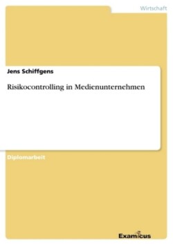 Risikocontrolling in Medienunternehmen