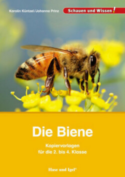 Die Biene - Kopiervorlagen für die 2. bis 4. Klasse