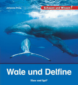 Wale und Delfine