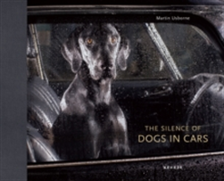 Silence Of Dogs In Cars