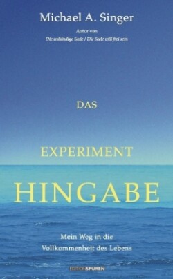 Das Experiment Hingabe