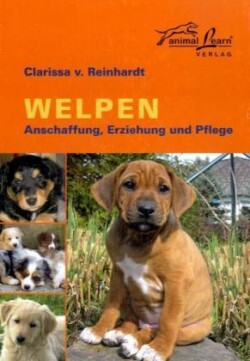 Welpen