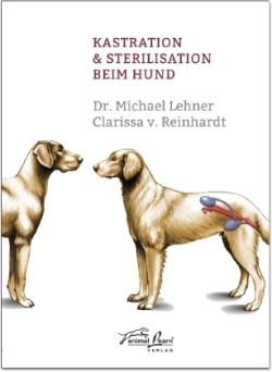 Kastration & Sterilisation beim Hund