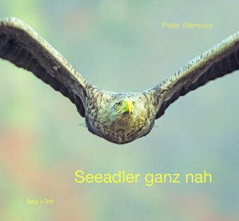 Seeadler ganz nah