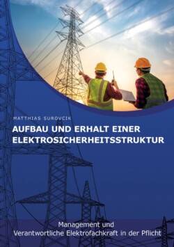 Aufbau und Erhalt einer Elektrosicherheitsstruktur