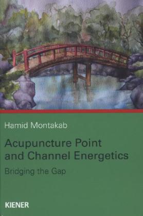 Acupuncture Point and Channel Energetics