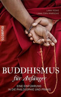 Buddhismus für Anfänger