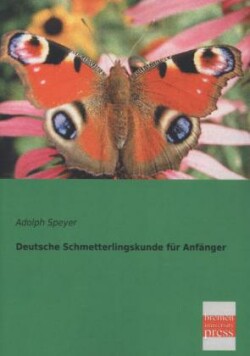 Deutsche Schmetterlingskunde Fur Anfanger