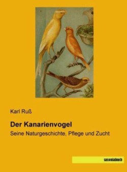 Der Kanarienvogel