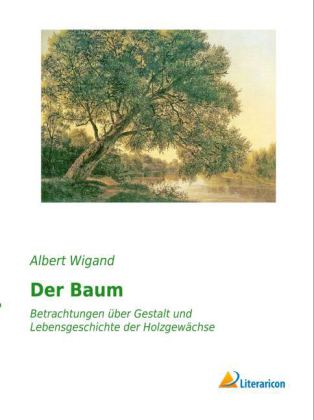 Der Baum