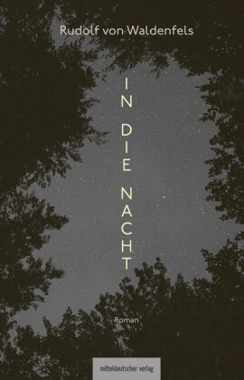 In die Nacht