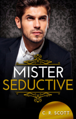 Mister Seductive