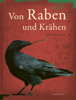 Von Raben und Krähen