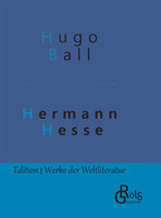 Hermann Hesse Sein Leben und sein Werk - Gebundene Ausgabe