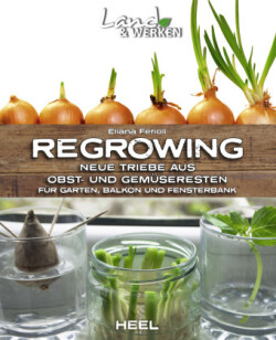 Regrowing -  Neue Triebe aus Obst- und Gemüseresten