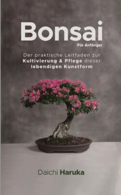 Bonsai für Anfänger