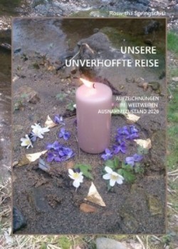 Unsere unverhoffte Reise