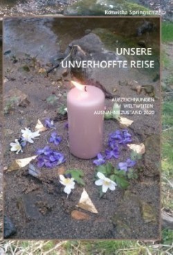 Unsere unverhoffte Reise