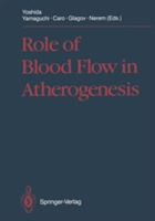 Role of Blood Flow in Atherogenesis