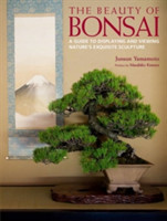 Beauty Of Bonsai, The: A Guide To Displaying And Viewing