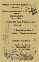 Winnie-The-Pooh in Turkish Translated Into Turkish Language by Gokcen Ezber