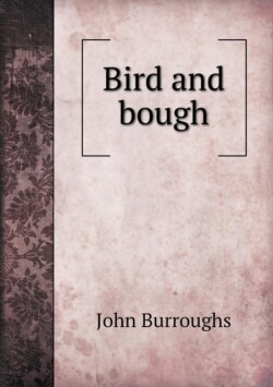 Bird and Bough