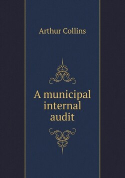 municipal internal audit