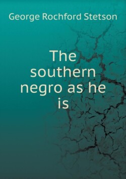 southern negro as he is